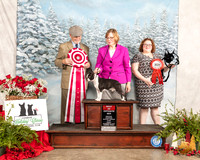 Boston Terrier #5 Fri BOS Judge Michael Staley