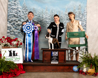 Boston Terrier #7 Fri BOW Maj Judge Tim Robbins