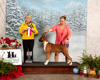 Boxer #? Fri BOS Judge Debra L Thornton