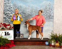 Boxer #? Fri BOW Judge Debra L Thornton