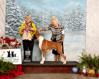 Boxer #15 Fri BISS Judge Debra L Thornton