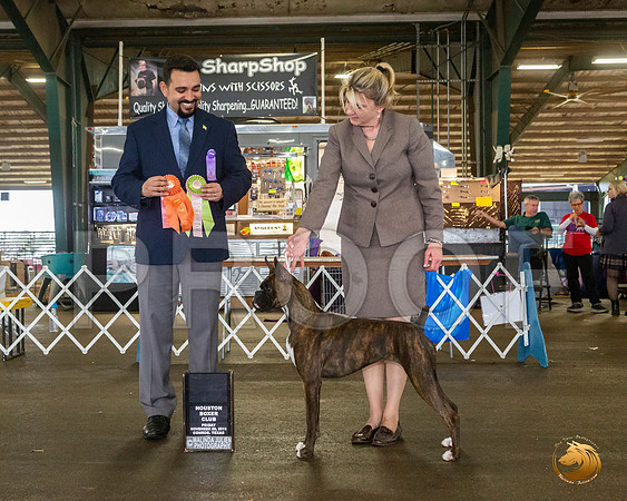 _JJ_7930_Conroe2019-HR3