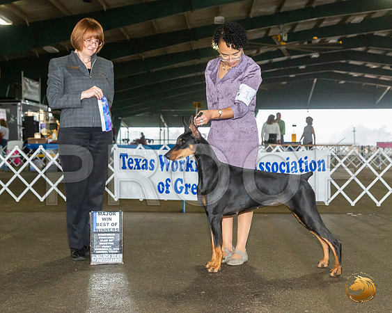 _JJ_7744_Conroe2019-HR3