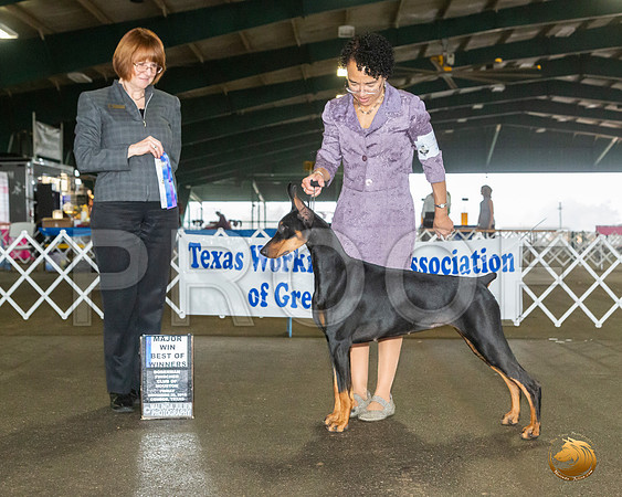 _JJ_7745_Conroe2019-HR3