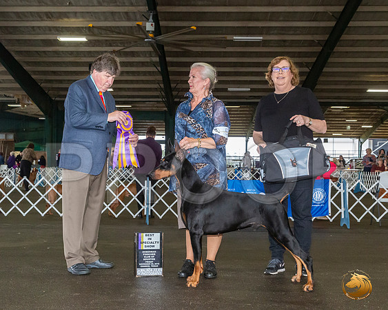 _JJ_7870_Conroe2019-HR3