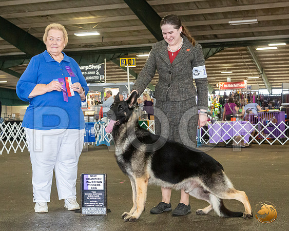 _JJ_7852_Conroe2019-HR3