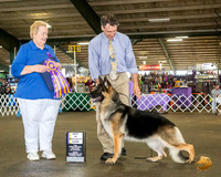 German Shepherd Dog #18 Fri BISS Judge Carol Smith
