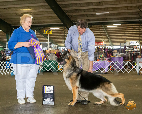 _JJ_7848_Conroe2019-HR3