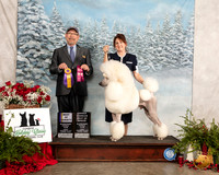 Poodle Std #21 Fri BOV OHBOB Judge Tim Robbins