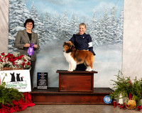 Shetland Sheepdog #22 Fri WB Judge Danelle Brown