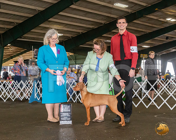 _JJ_7906_Conroe2019-HR3