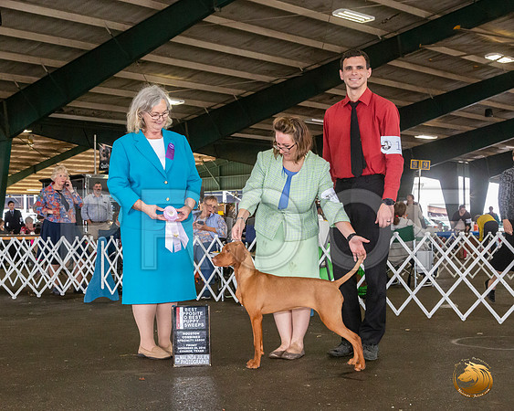 _JJ_7907_Conroe2019-HR3