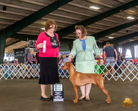 Vizsla #10 Fri SB Fri Judge Elizabeth Muthard