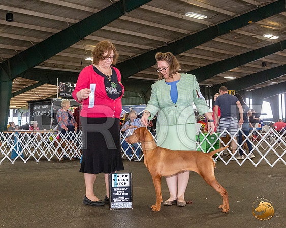 _JJ_7888_Conroe2019-HR3