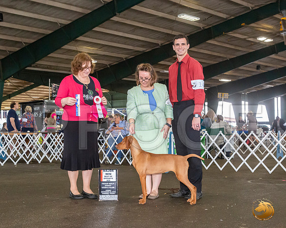_JJ_7898_Conroe2019-HR3