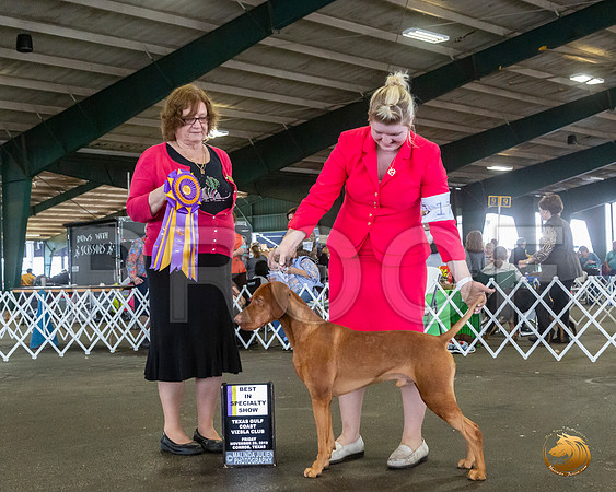 _JJ_7883_Conroe2019-HR3