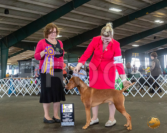 _JJ_7882_Conroe2019-HR3