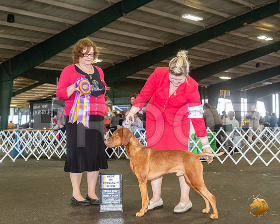 _JJ_7884_Conroe2019-HR3