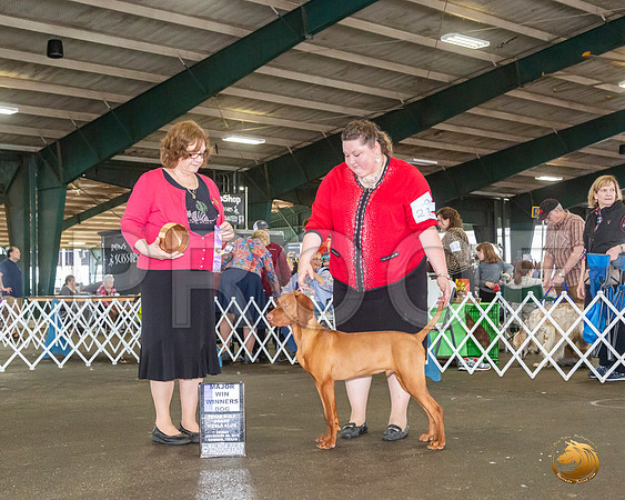 _JJ_7892_Conroe2019-HR3