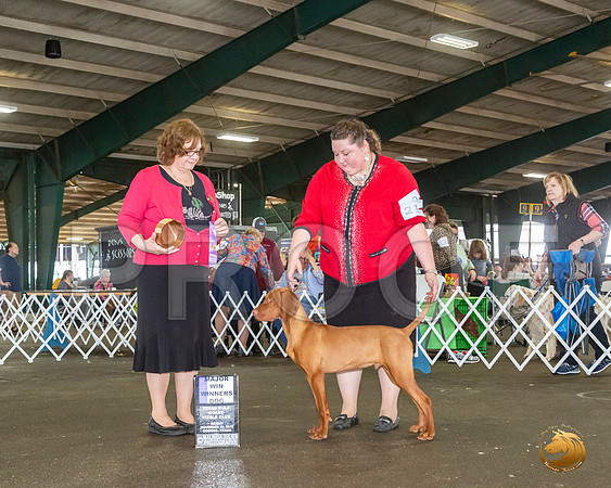 _JJ_7894_Conroe2019-HR3