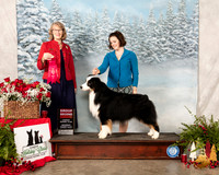 Australian Shepherd #17 Sat G2 Judge Nancy Simmons