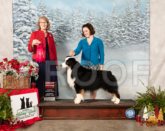 Australian Shepherd #17 Sat G2 Judge Nancy Simmons__SR_4836_Conroe2019-HR3