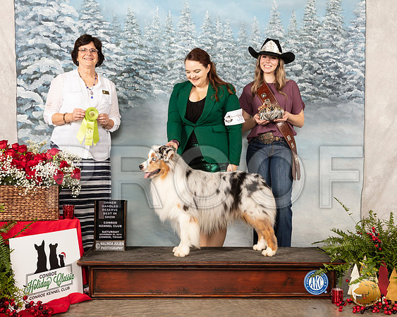 Australian Shepherd #35 Sat OHRBIS Judge Danell Brown__SR_4902_Conroe2019-HR3
