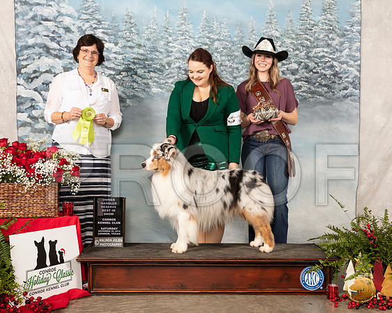 Australian Shepherd #35 Sat OHRBIS Judge Danell Brown__SR_4904_Conroe2019-HR3