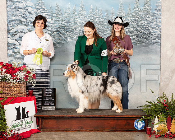 Australian Shepherd #35 Sat OHRBIS Judge Danell Brown__SR_4905_Conroe2019-HR3
