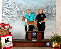 Basenji #17 Sat WD Maj Judge LOU M GUERRERO