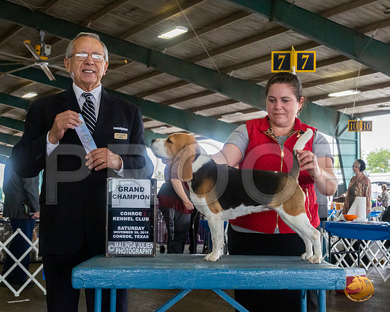 Beagle 15 #18 Sat NGrCh Judge LOU M GUERRERO__JJ_8085_Conroe2019-HR3