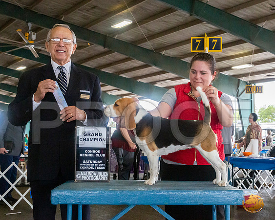 Beagle 15 #18 Sat NGrCh Judge LOU M GUERRERO__JJ_8086_Conroe2019-HR3