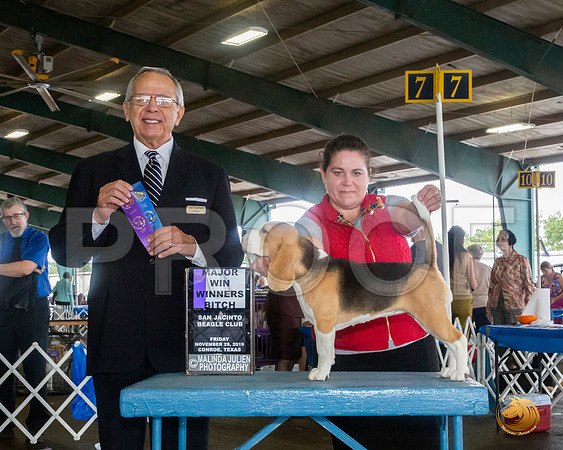 Beagle 15 #8 Fri AOM Judge LOU M GUERRERO__JJ_8075_Conroe2019-HR3