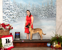 Belgian Malinois #12 Sat BOW WB