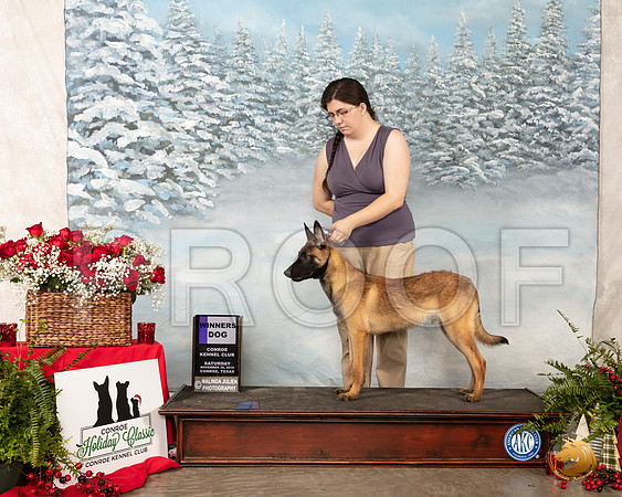 Belgian Malinois #9 Sat WD__SR_4674_Conroe2019-HR3