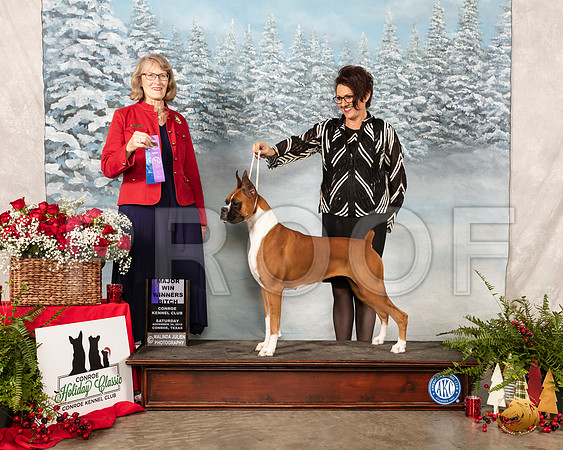 Boxer #16 Sat WB Maj Judge Nancy Simmons__SR_4850_Conroe2019-HR3