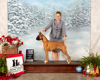 Boxer #26 Fri WB Maj Judge Diane Colling
