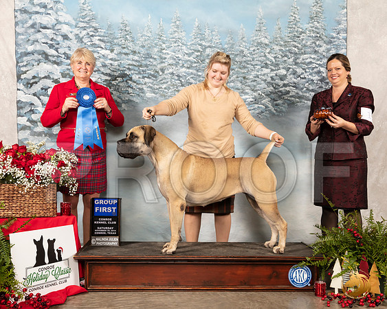 Cane Corso #6 Sat G1 Judge Debra Thornton__SR_4794_Conroe2019-HR3