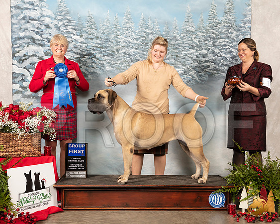 Cane Corso #6 Sat G1 Judge Debra Thornton__SR_4795_Conroe2019-HR3