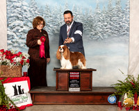 Cavalier King Charles Spaniel #12 Sat G2 Judge Elizabeth Muthard