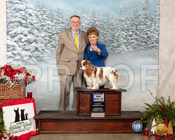 Cavalier King Charles Spaniel #5 Sat BOW Maj Judge Elizabeth Muthard__SR_4630_Conroe2019-HR3