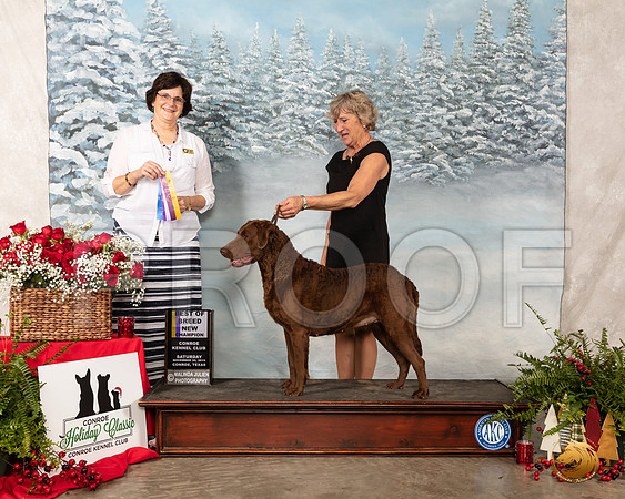 Chesapeake Retriever #6 Sat BOB NCh Judge Danelle Brown__SR_4754_Conroe2019-HR3
