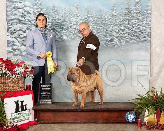 Chinese Shar Pei #9 Sat G3 Judge Juan Miranda__SR_4921_Conroe2019-HR3