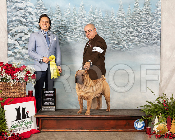 Chinese Shar Pei #9 Sat G3 Judge Juan Miranda__SR_4923_Conroe2019-HR3
