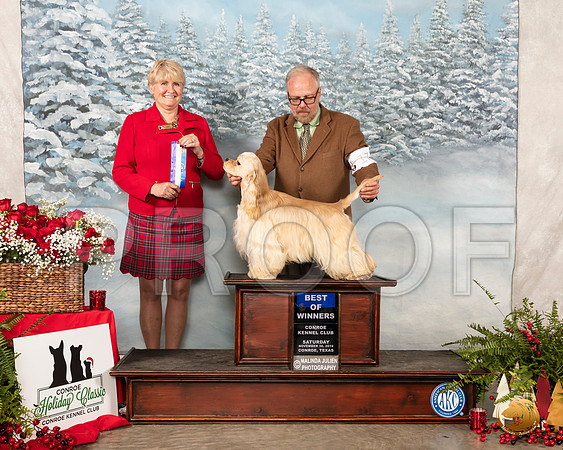 Cocker Spaniel ASCOB #17 Sat Judge Debra Thornton__SR_4885_Conroe2019-HR3