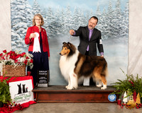 Collie Rough #9 Sat G4 Judge Nancy Simmons