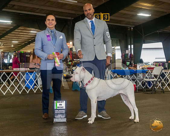 Dogo #6 Sat BMISC Judge Juan Miranda__JJ_7995_Conroe2019-HR3