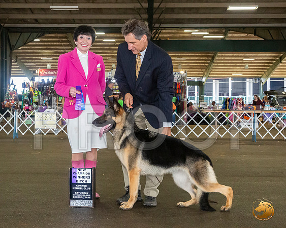 German Shepherd Dog #16 Sat WB Judge Barbara Alderman__JJ_8133_Conroe2019-HR3