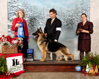 German Shepherd Dog #18 Sat G1 Judge Nancy Simmons