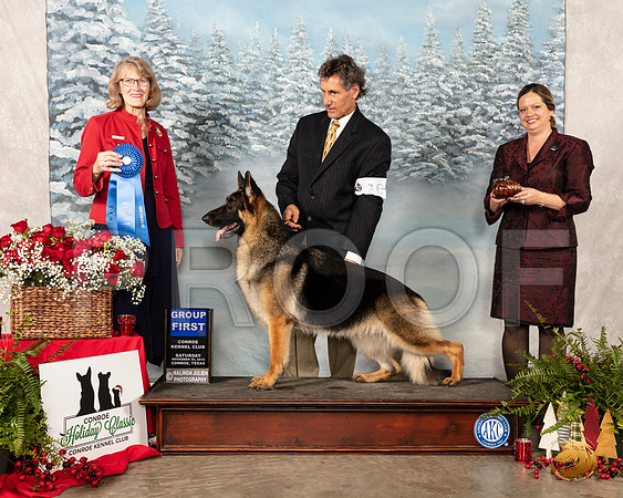 German Shepherd Dog #18 Sat G1 Judge Nancy Simmons__SR_4834_Conroe2019-HR3